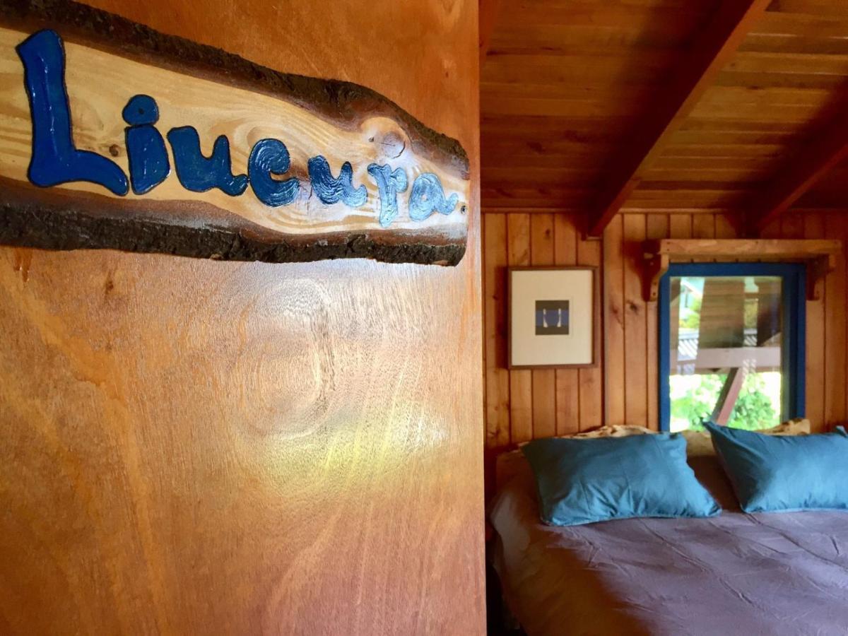 Hostel Raíz Pucón Exteriér fotografie