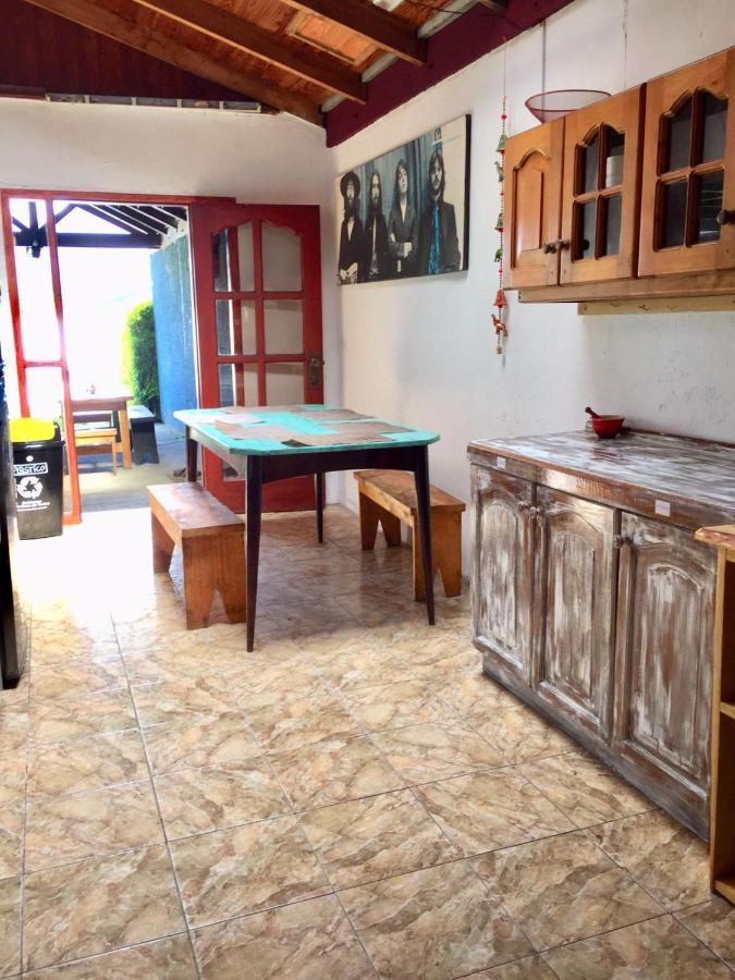 Hostel Raíz Pucón Exteriér fotografie