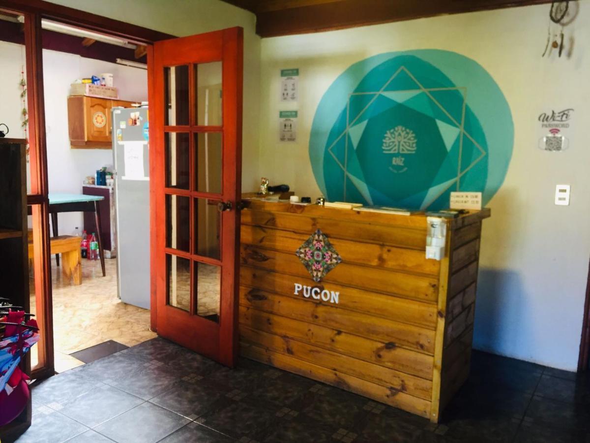 Hostel Raíz Pucón Exteriér fotografie